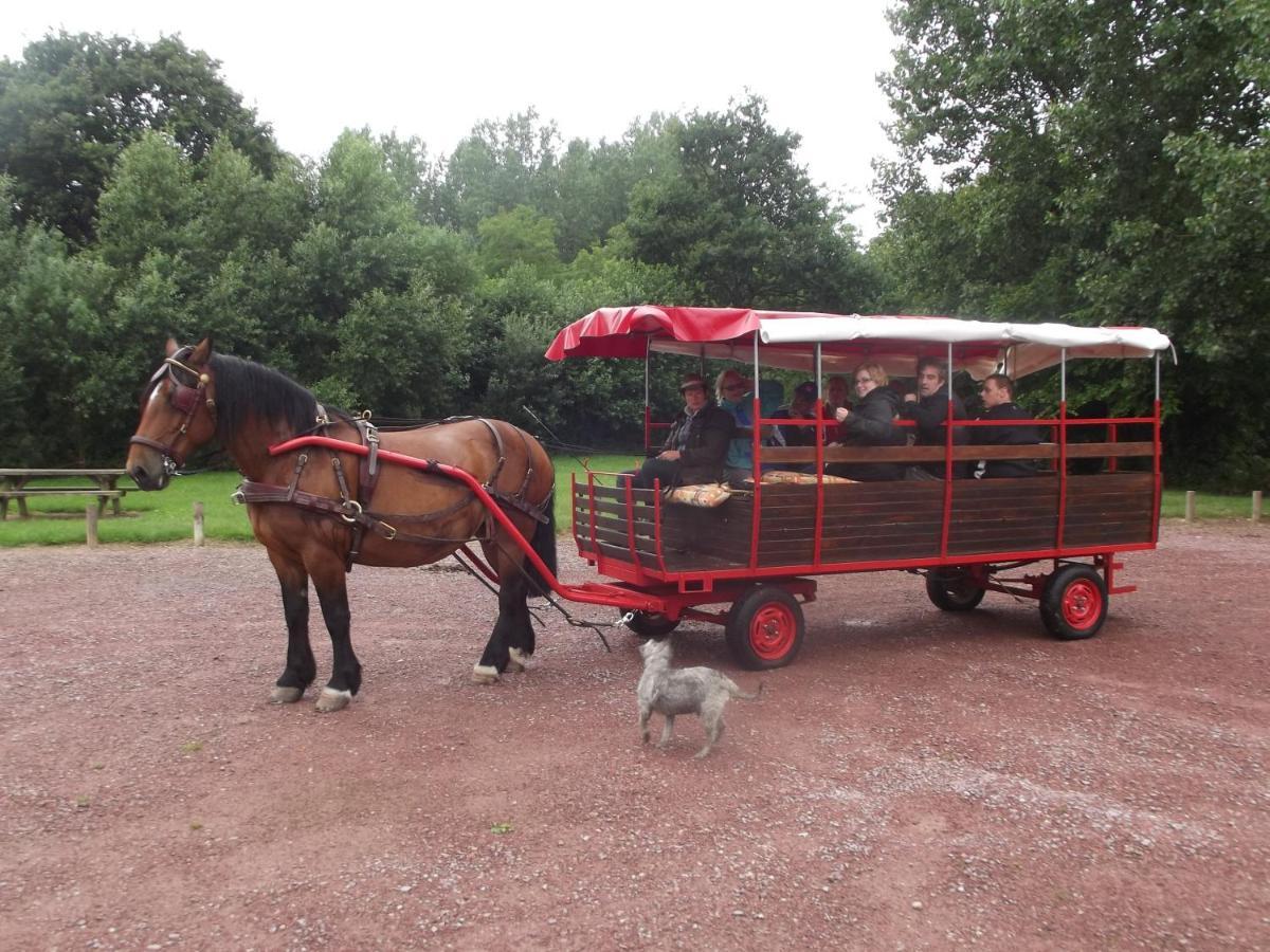 Ecuries Leseigneur - Camping Insolites Bolleville  Exterior foto